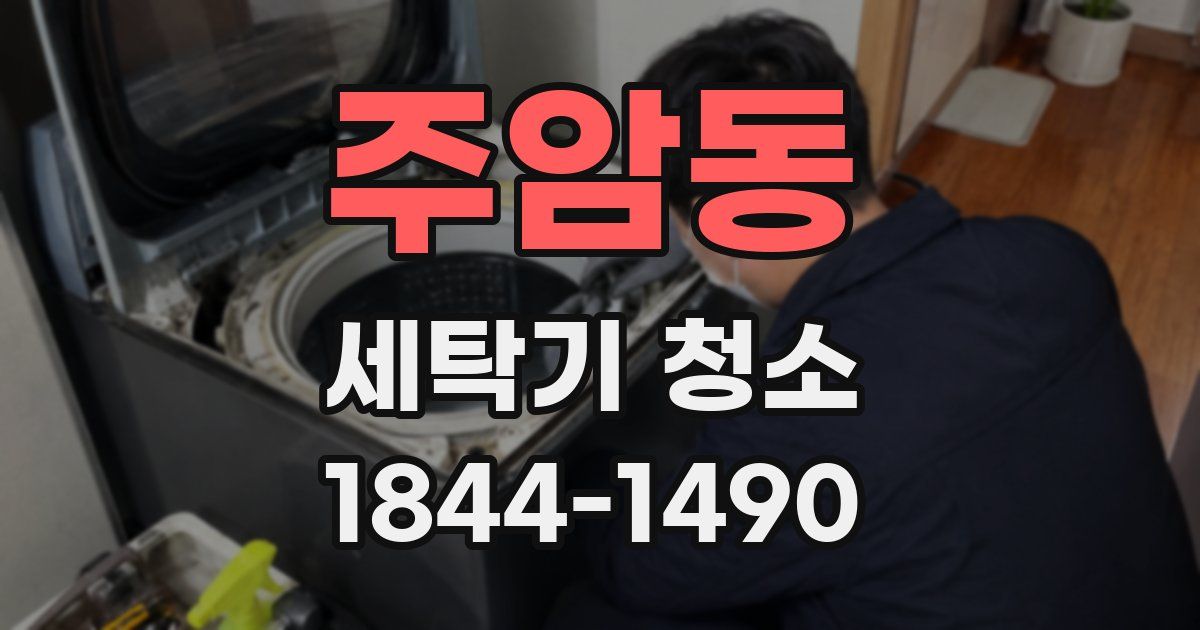 주암동 세탁기 청소