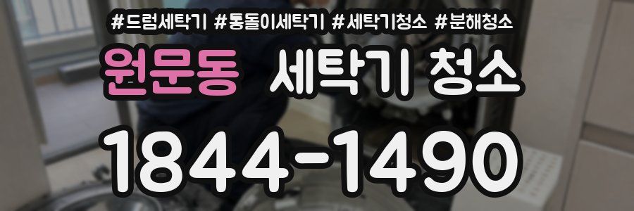 원문동 세탁기 청소