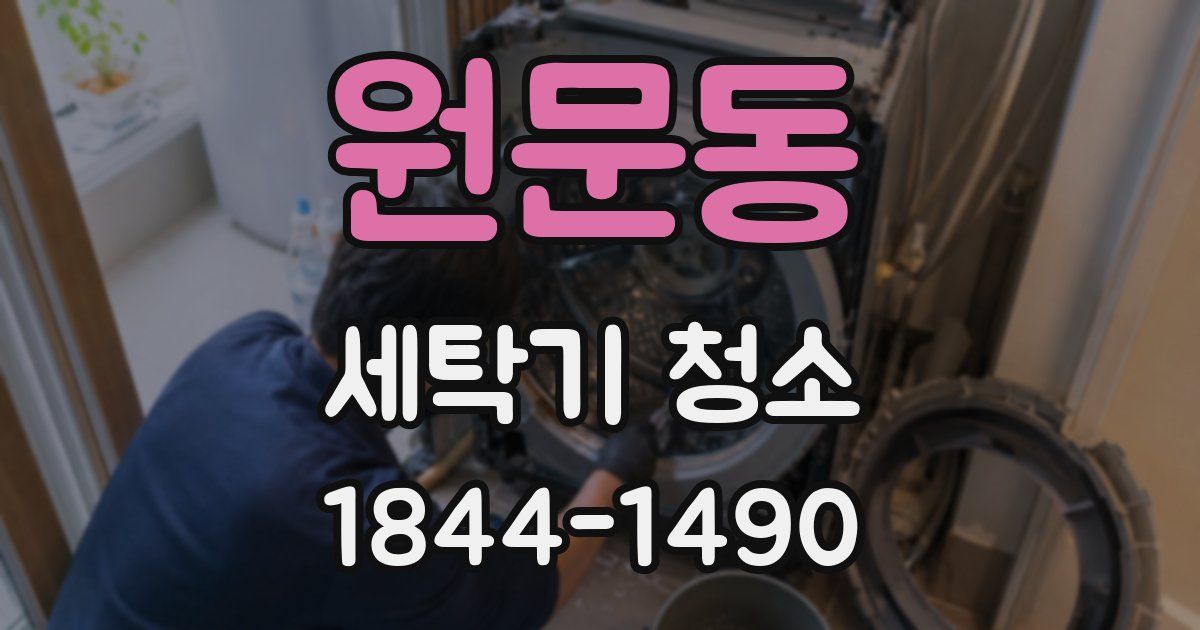 원문동 세탁기 청소