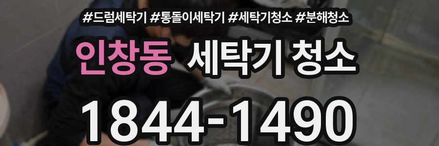 인창동 세탁기 청소