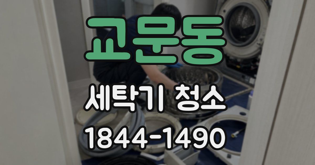 교문동 세탁기 청소