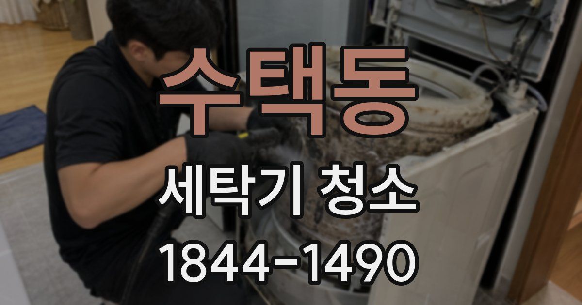 수택동 세탁기 청소