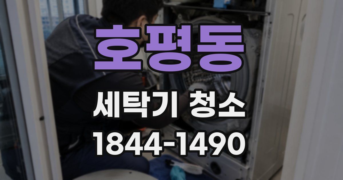호평동 세탁기 청소