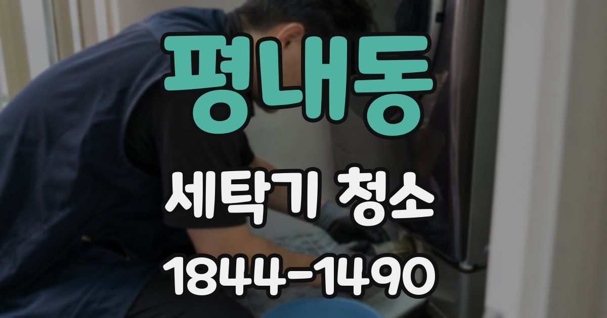 평내동 세탁기 청소