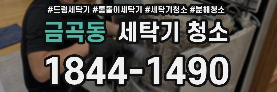 금곡동 세탁기 청소
