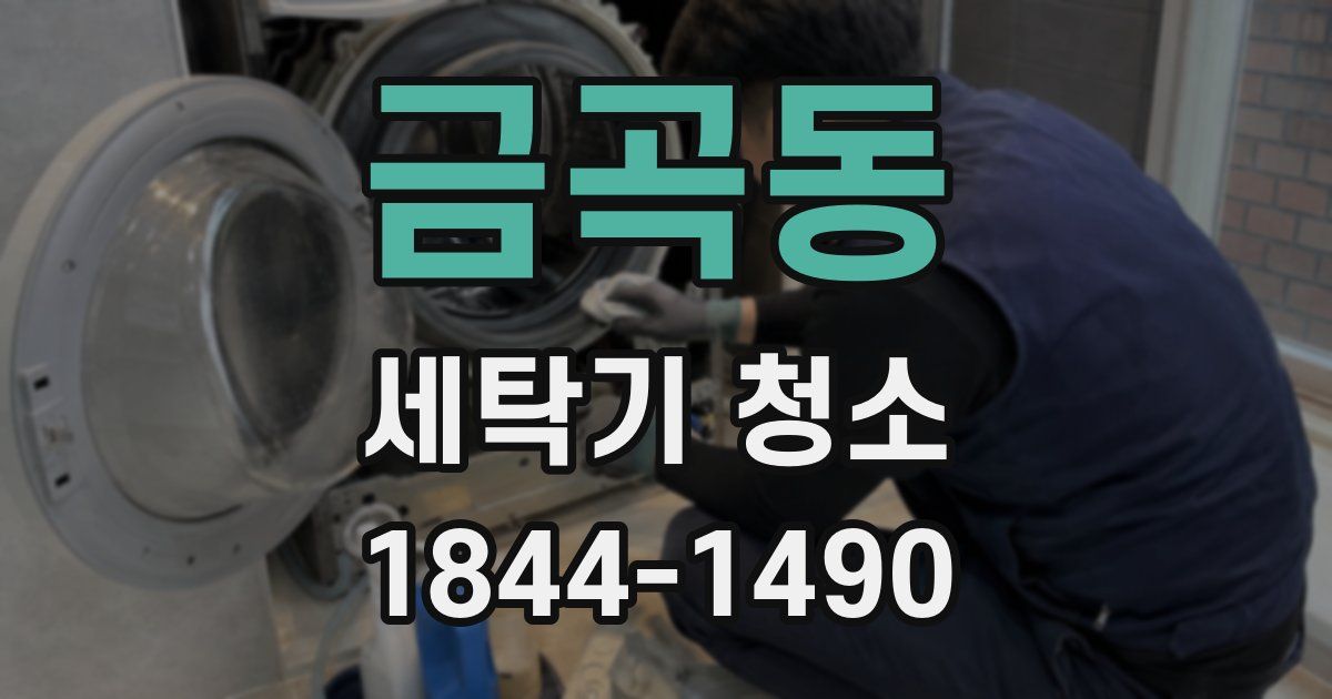 금곡동 세탁기 청소