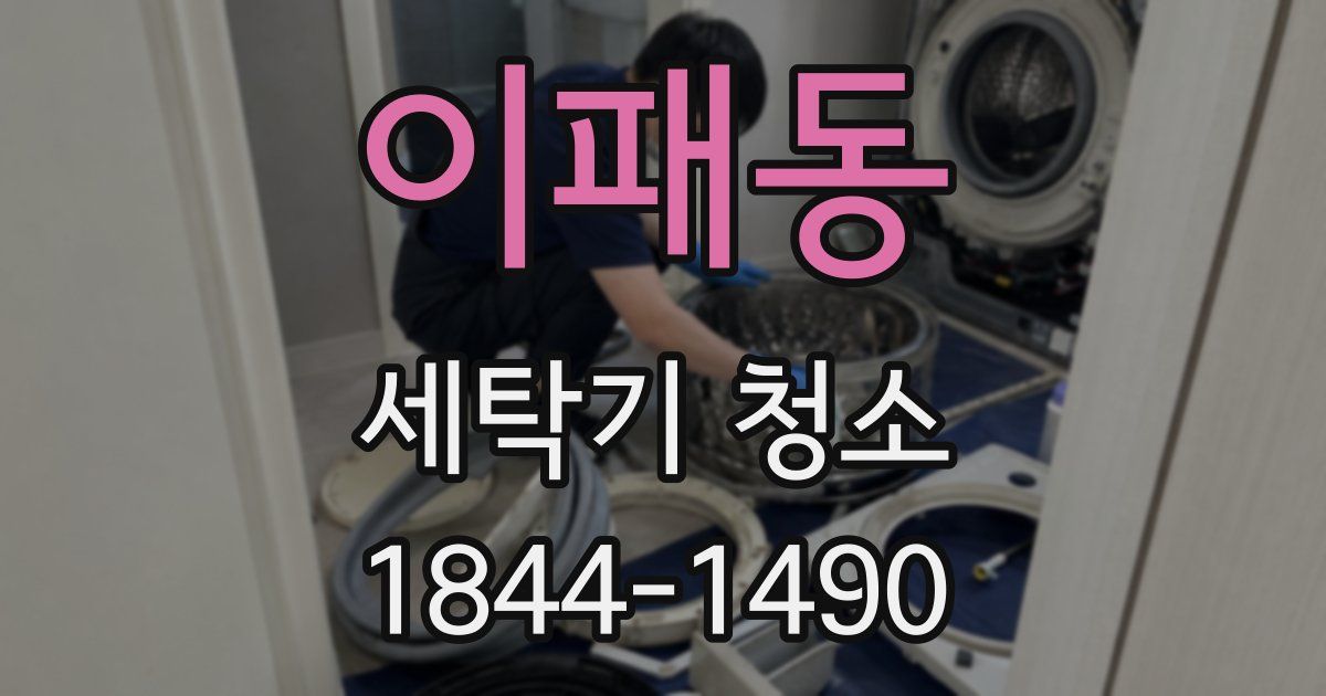 이패동 세탁기 청소