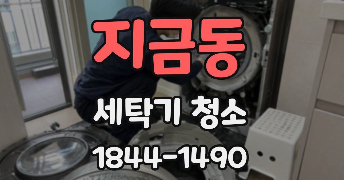 지금동 세탁기 청소