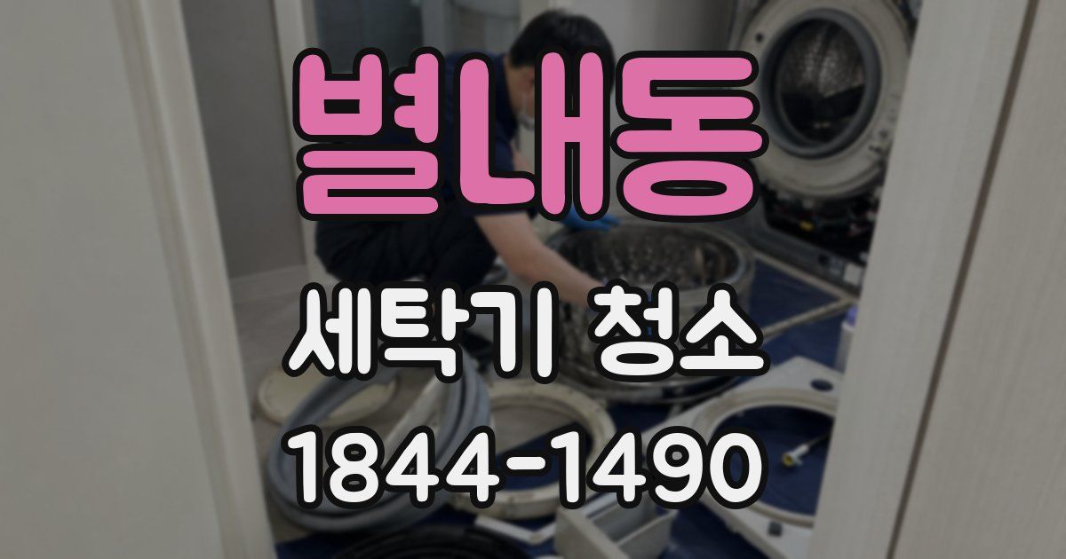 별내동 세탁기 청소