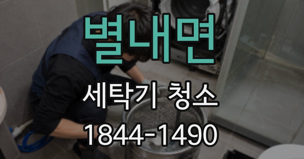 별내면 세탁기 청소