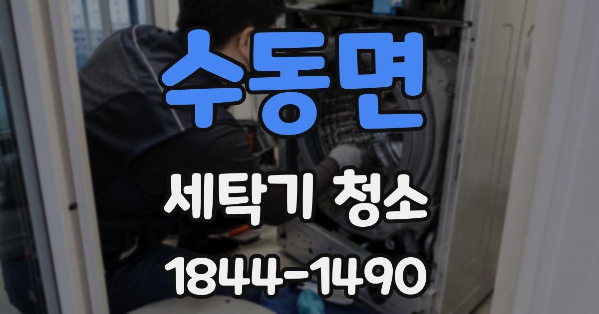 수동면 세탁기 청소