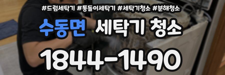 수동면 세탁기 청소