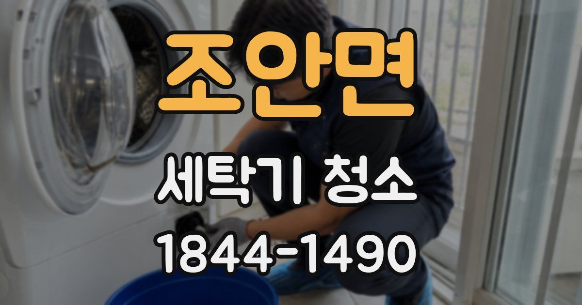 조안면 세탁기 청소