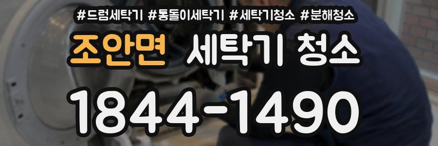 조안면 세탁기 청소