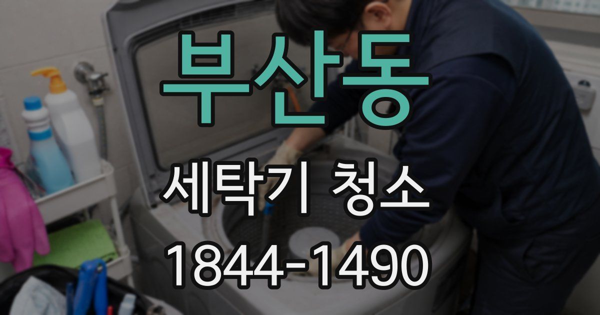 부산동 세탁기 청소