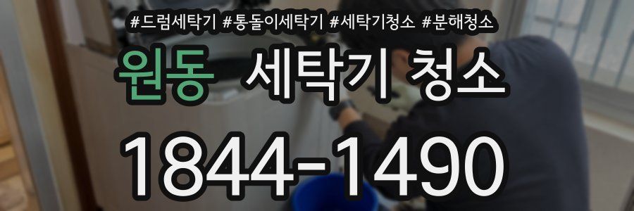 원동 세탁기 청소