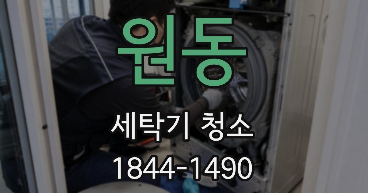 원동 세탁기 청소