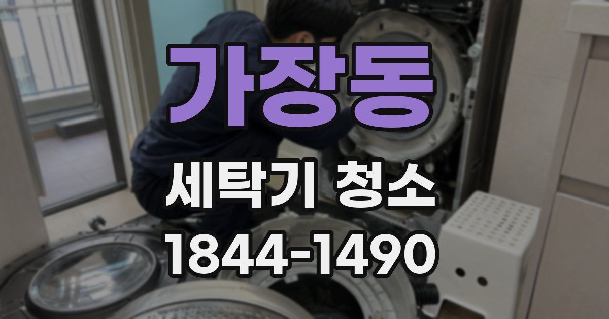 가장동 세탁기 청소