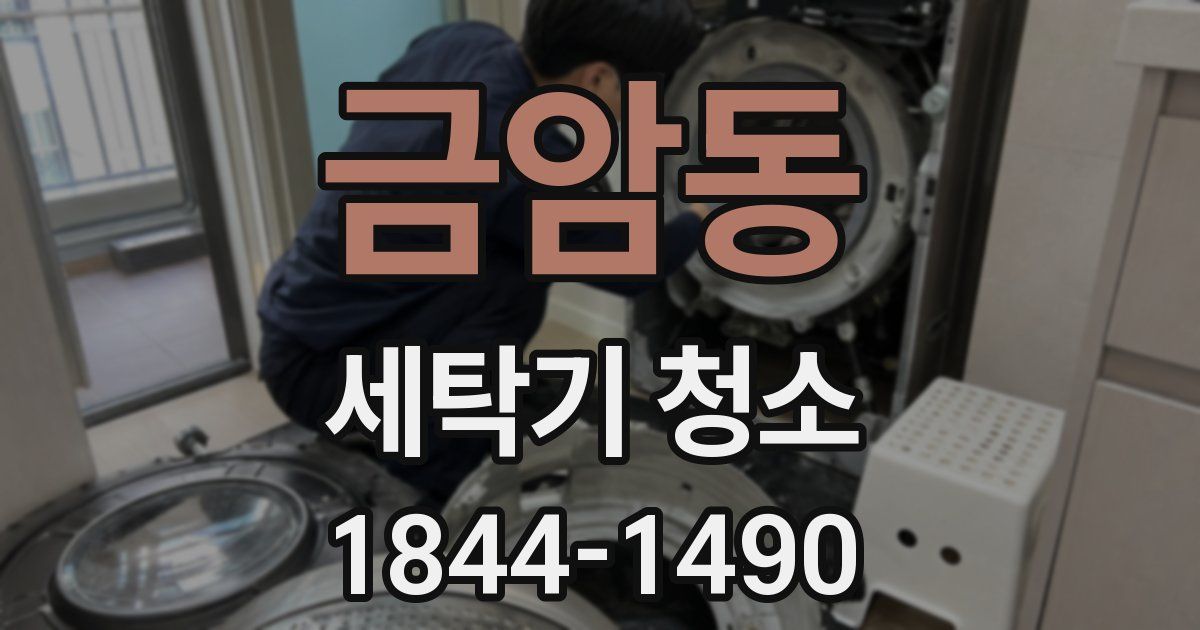 금암동 세탁기 청소
