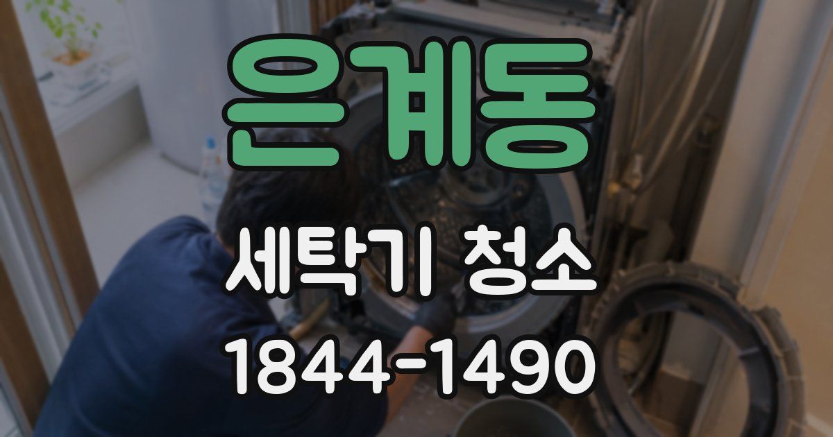 은계동 세탁기 청소