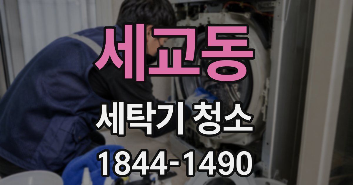 세교동 세탁기 청소