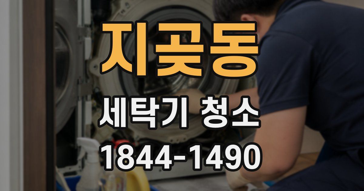 지곶동 세탁기 청소