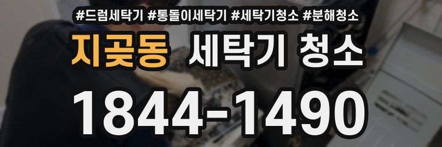 지곶동 세탁기 청소
