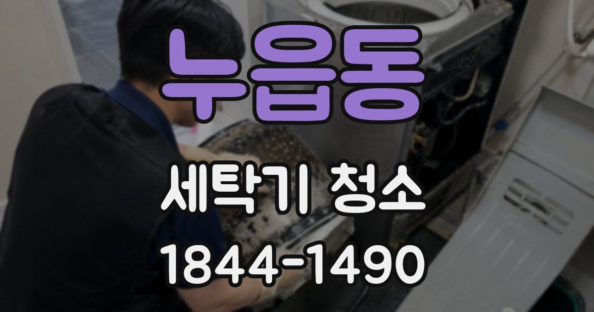누읍동 세탁기 청소