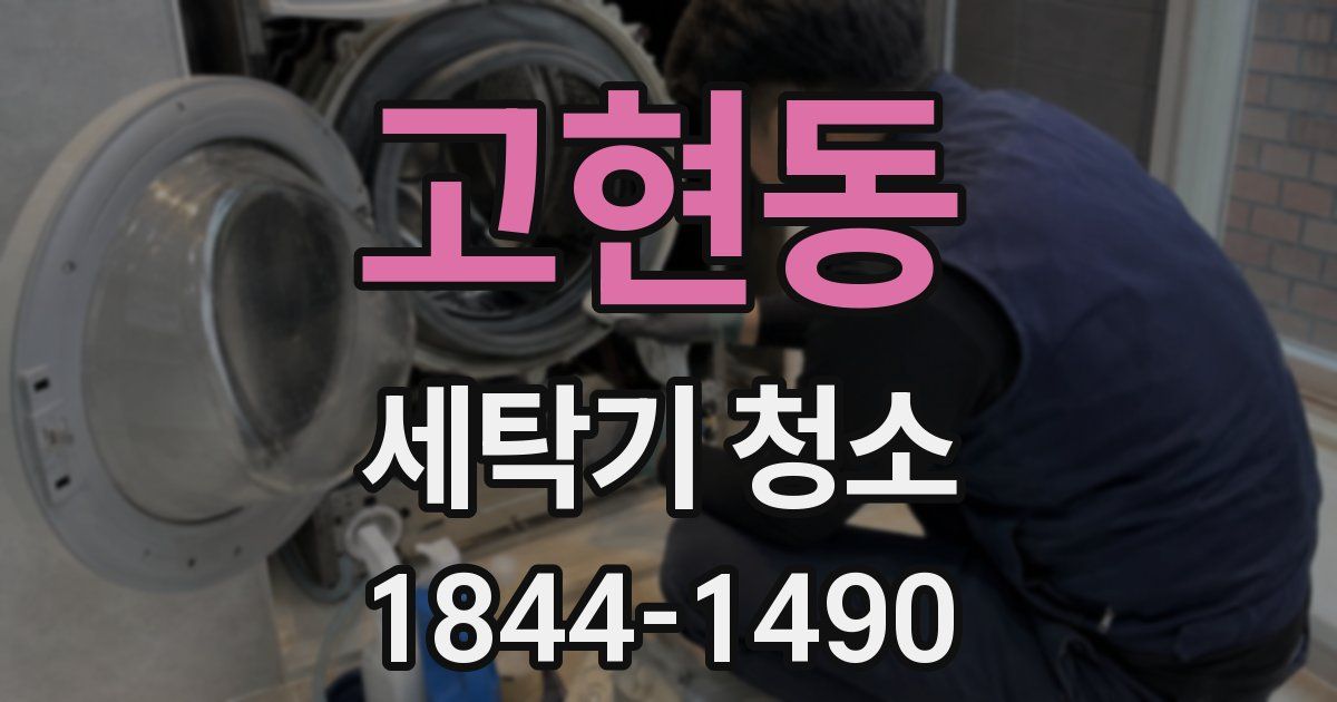 고현동 세탁기 청소