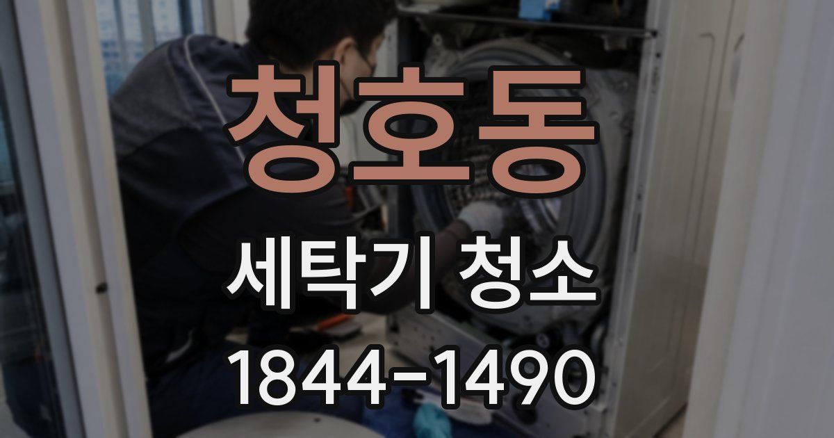 청호동 세탁기 청소