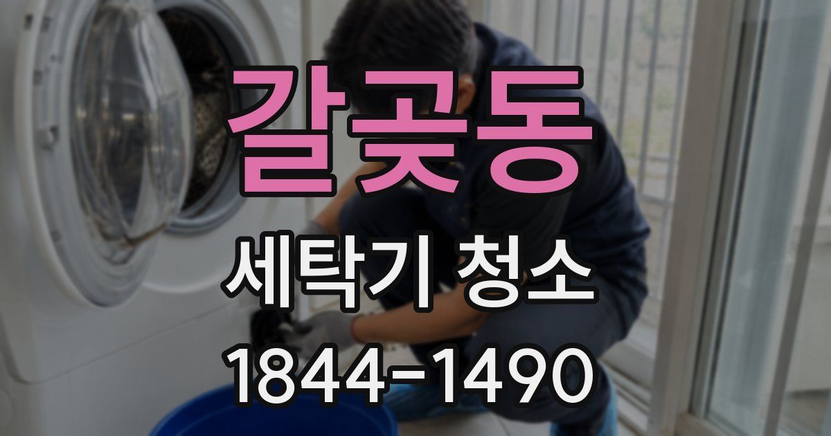 갈곶동 세탁기 청소
