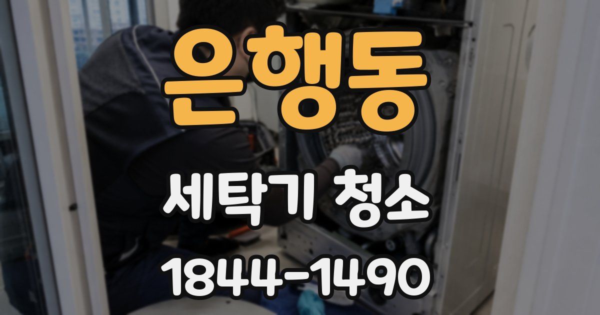 은행동 세탁기 청소