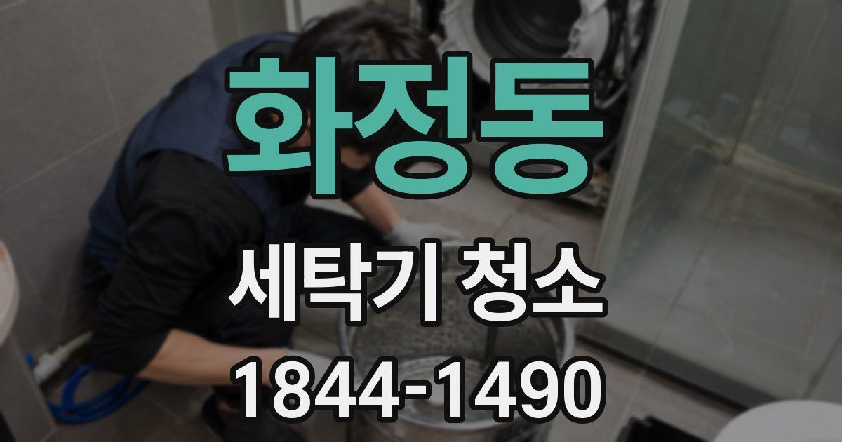 화정동 세탁기 청소