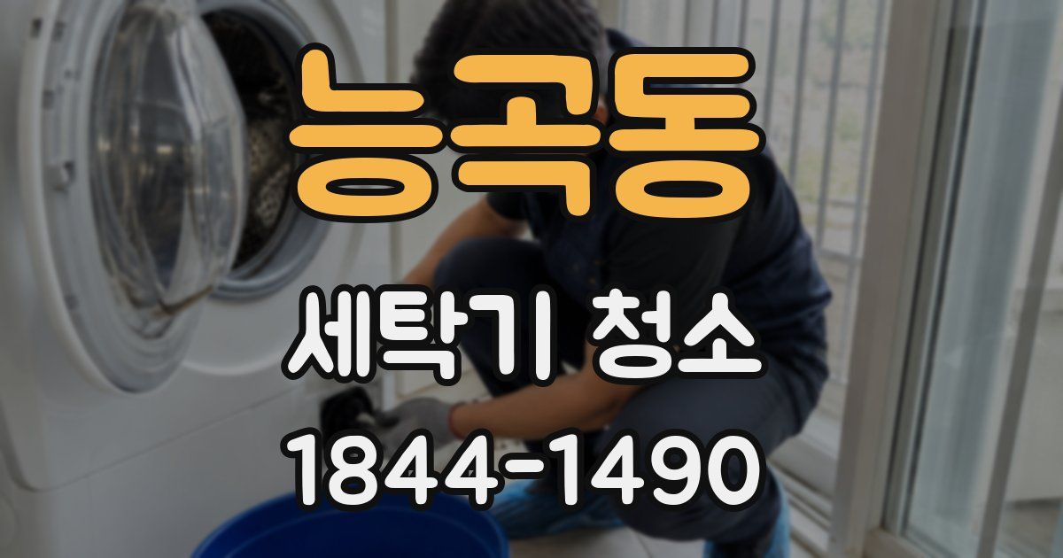 능곡동 세탁기 청소