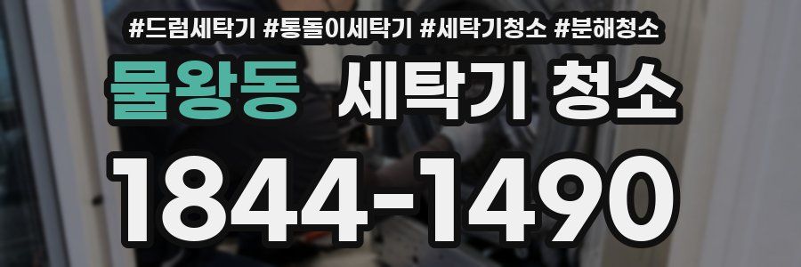 물왕동 세탁기 청소