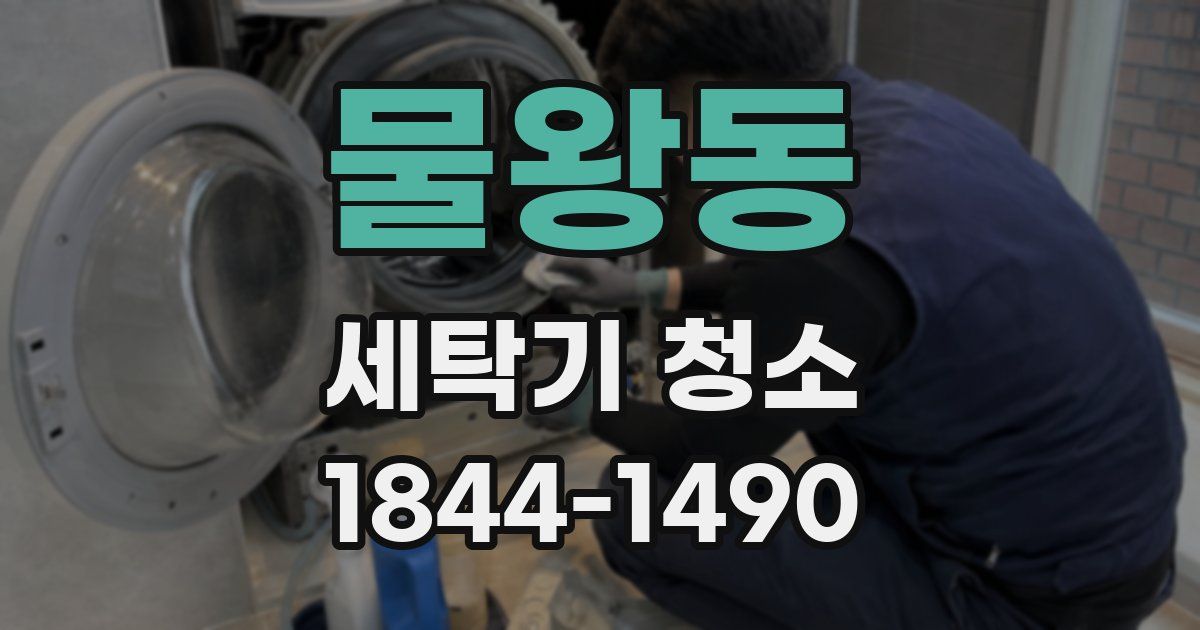물왕동 세탁기 청소