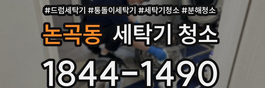 논곡동 세탁기 청소