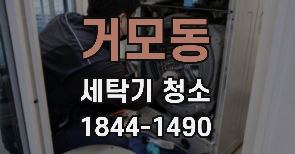 거모동 세탁기 청소