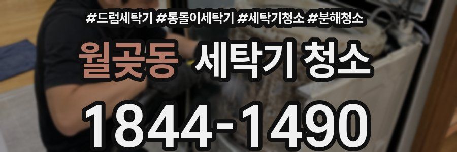월곶동 세탁기 청소
