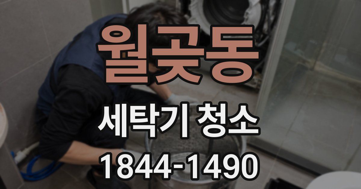 월곶동 세탁기 청소