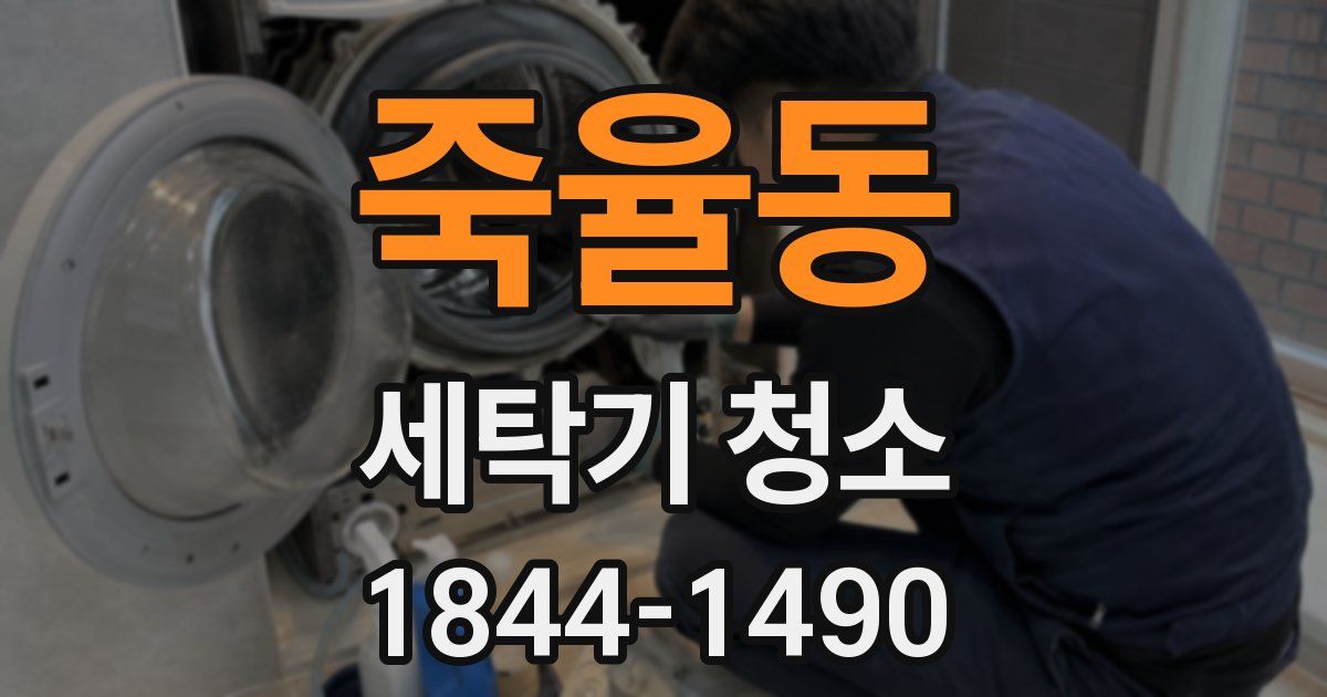 죽율동 세탁기 청소