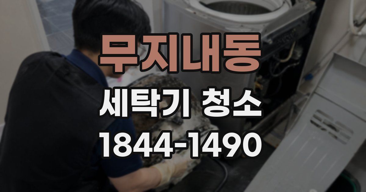 무지내동 세탁기 청소