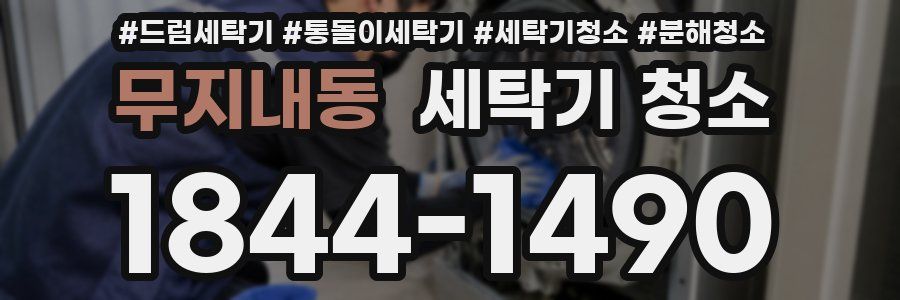 무지내동 세탁기 청소