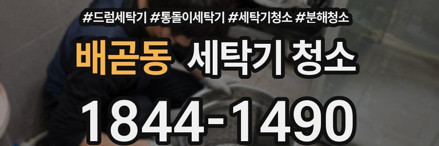 배곧동 세탁기 청소