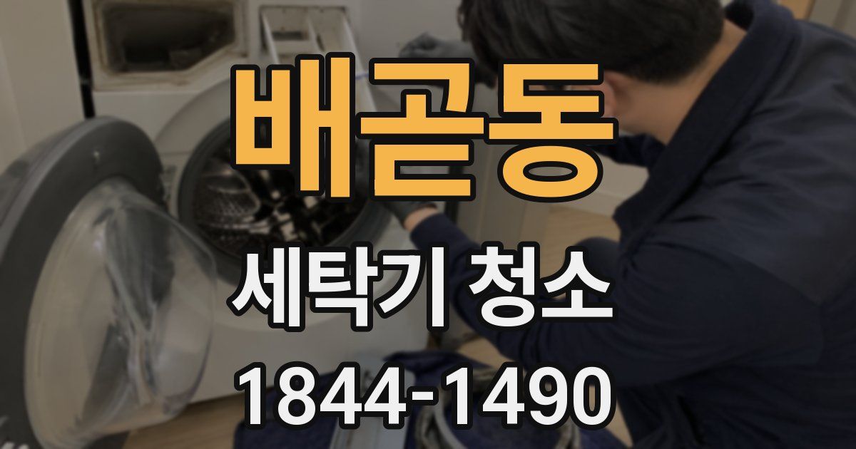 배곧동 세탁기 청소