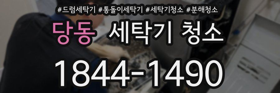 당동 세탁기 청소