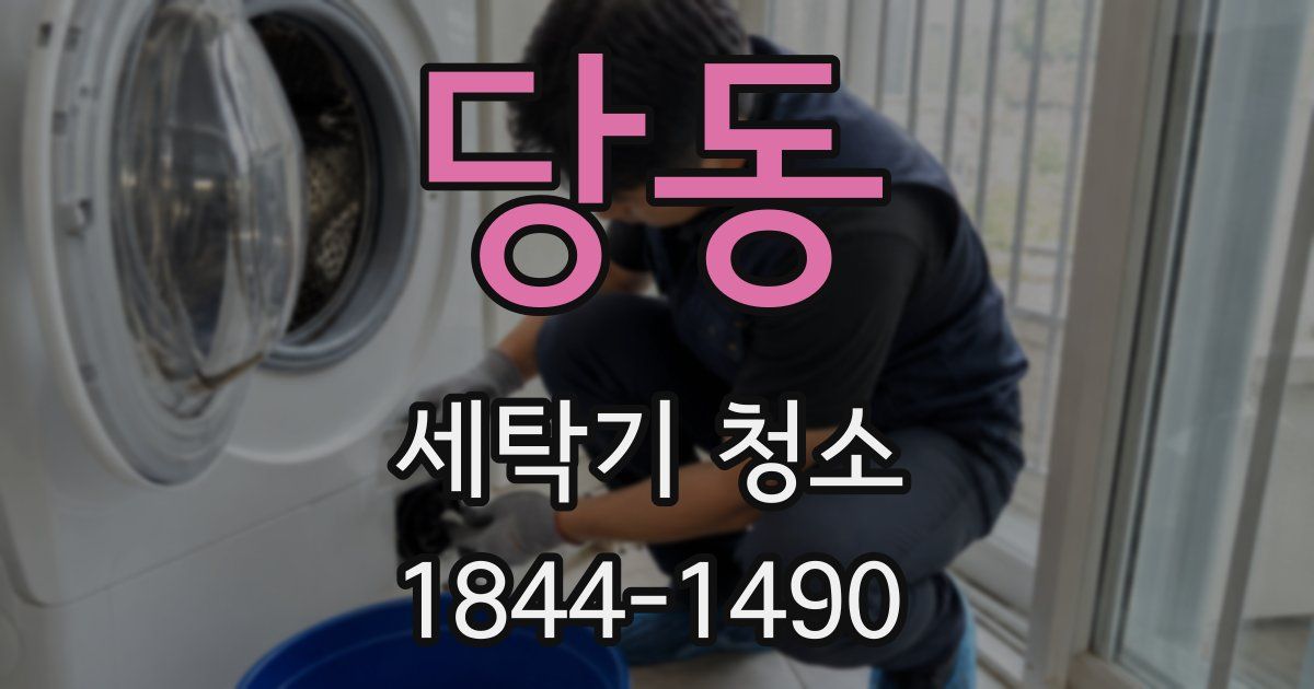 당동 세탁기 청소