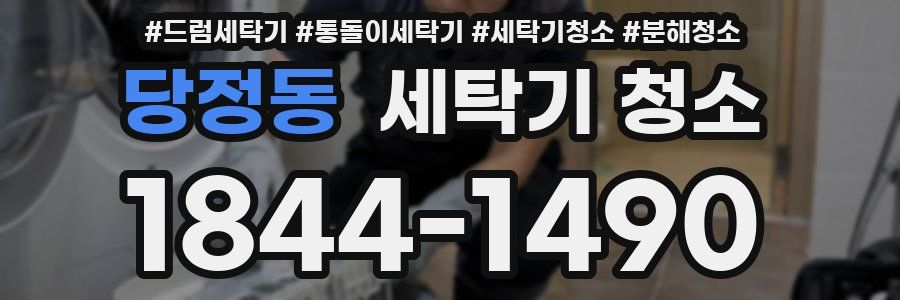 당정동 세탁기 청소