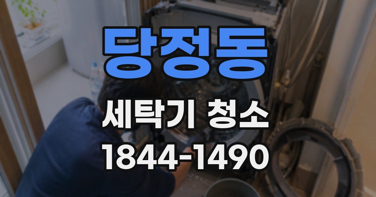 당정동 세탁기 청소
