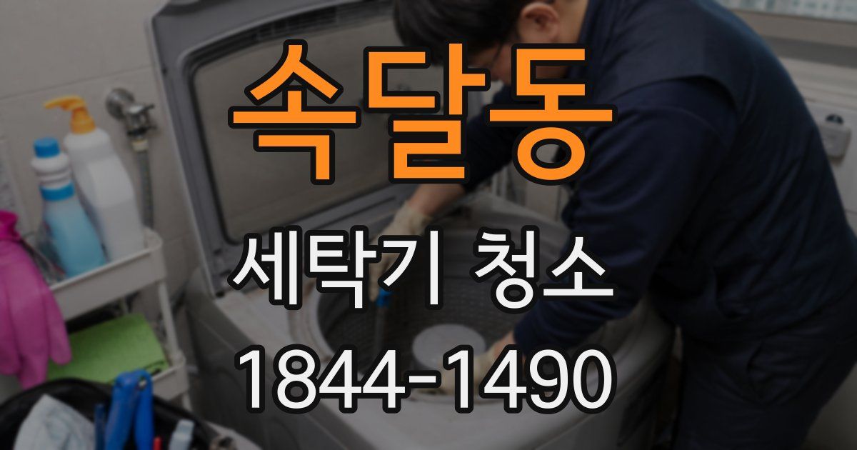 속달동 세탁기 청소